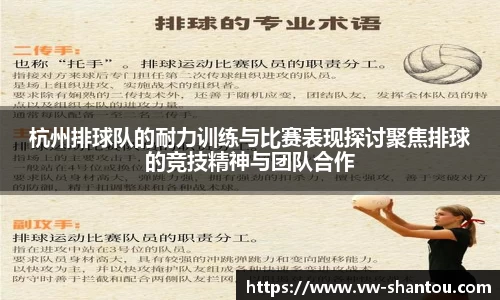 bsports官网