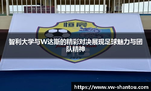 bsports必一体育